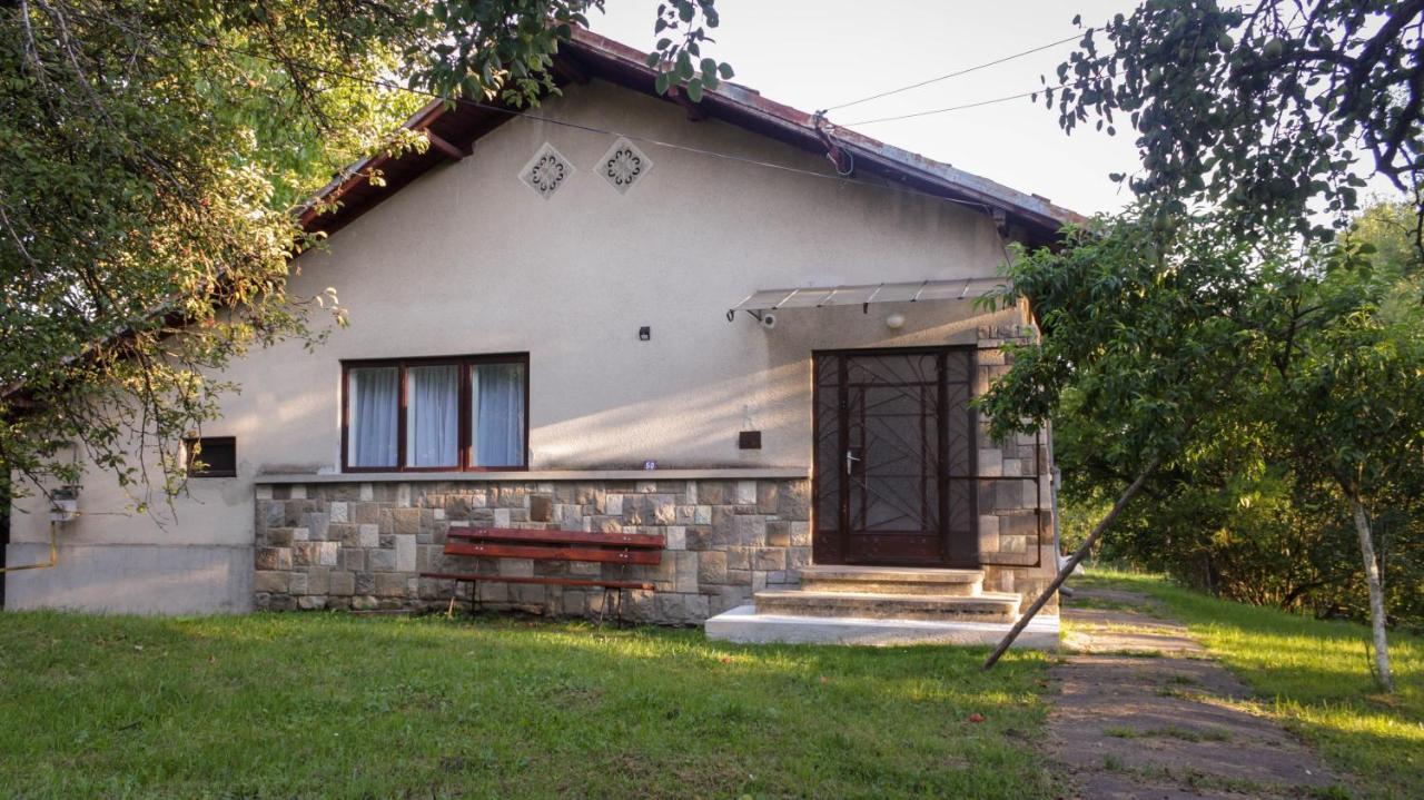 Casa Rurala Cu Livada Lavandra Câmpina Eksteriør bilde