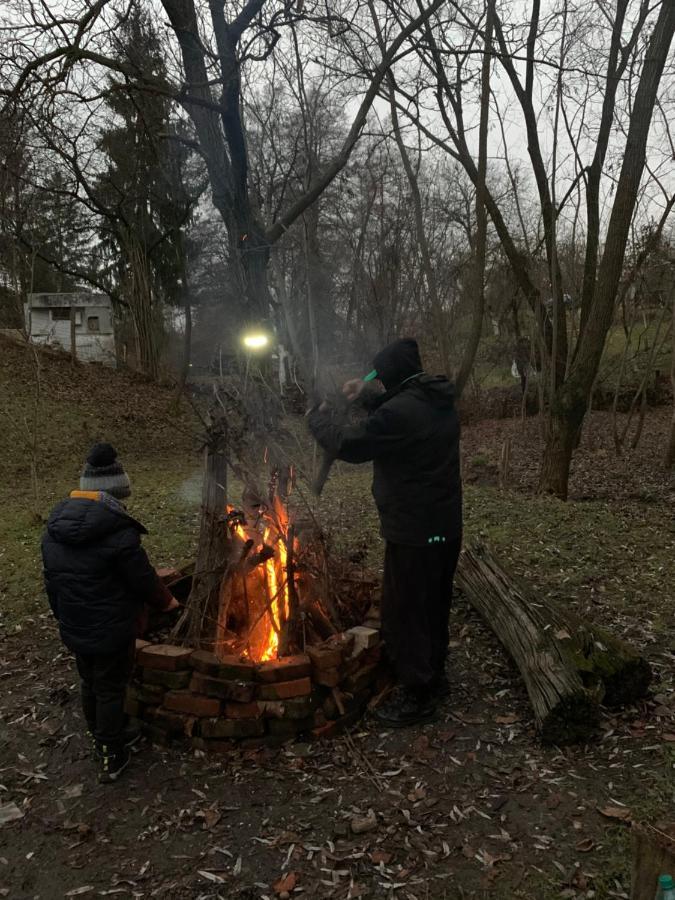 Casa Rurala Cu Livada Lavandra Câmpina Eksteriør bilde