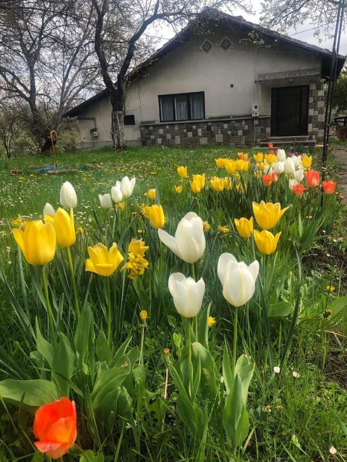 Casa Rurala Cu Livada Lavandra Câmpina Eksteriør bilde